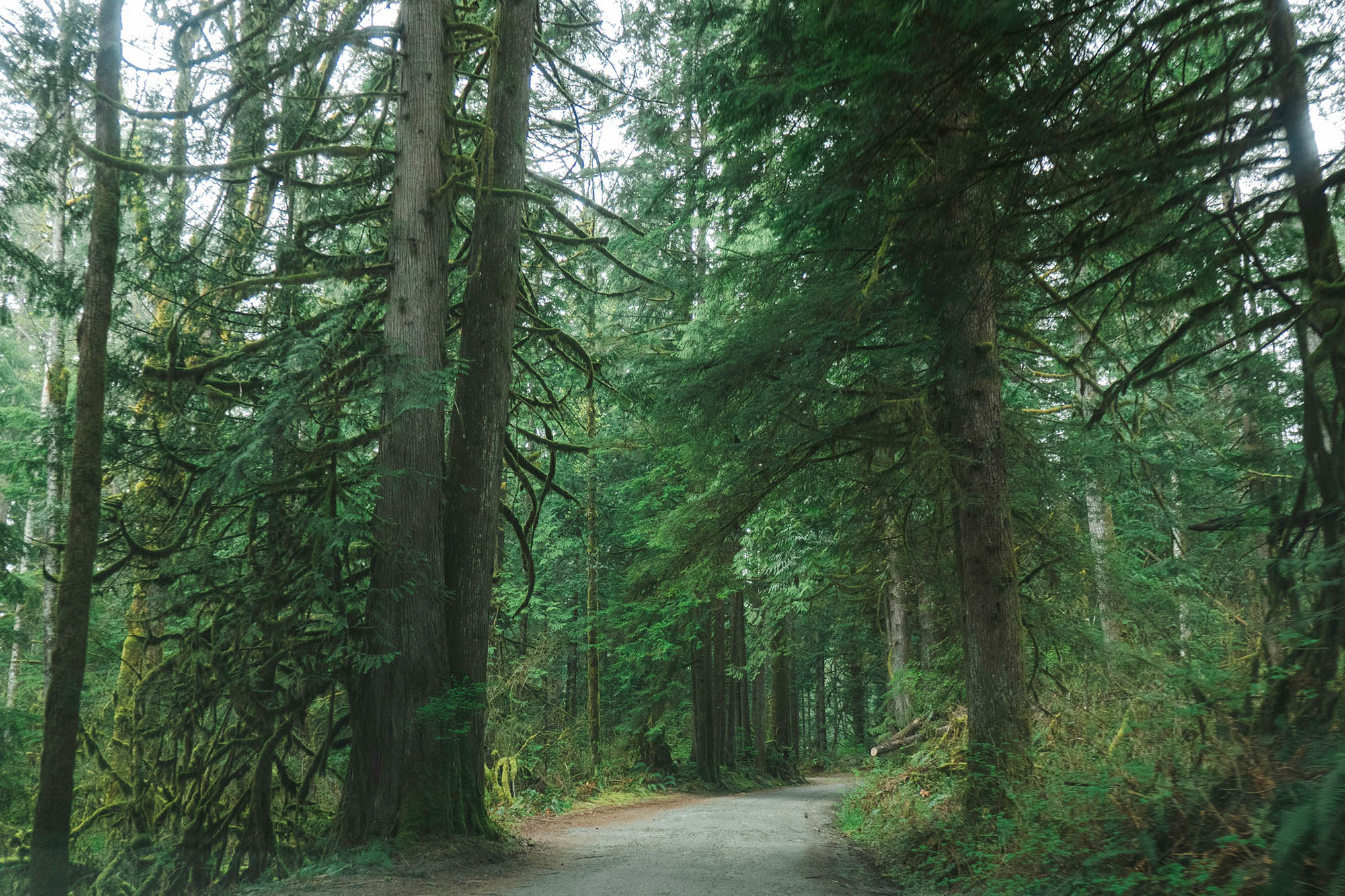 Maple Ridge BC